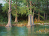 realistic oil painting of Cypress Trees by William Hagerman