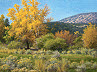 realistic New Mexico Autumn landscape painting by William Hagerman