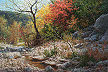 realistic Texas Autumn landscape with stream oil painting by William Hagerman