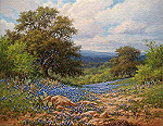 bluebonnet scene